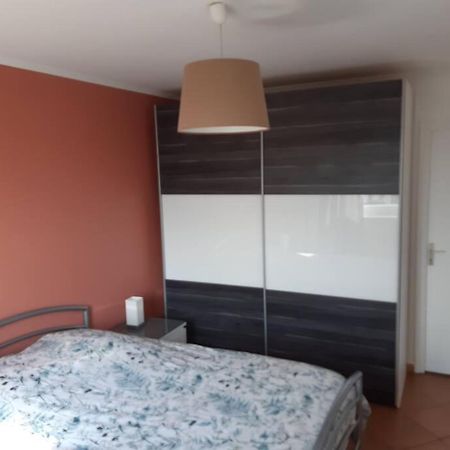 Logement Ideal Pour Un Sejour Alsacien En Amoureux Кольмар Экстерьер фото
