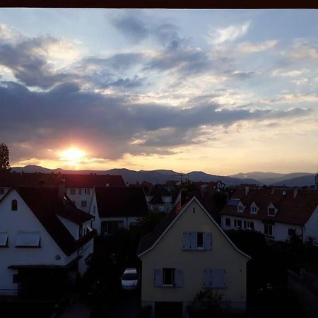 Logement Ideal Pour Un Sejour Alsacien En Amoureux Кольмар Экстерьер фото
