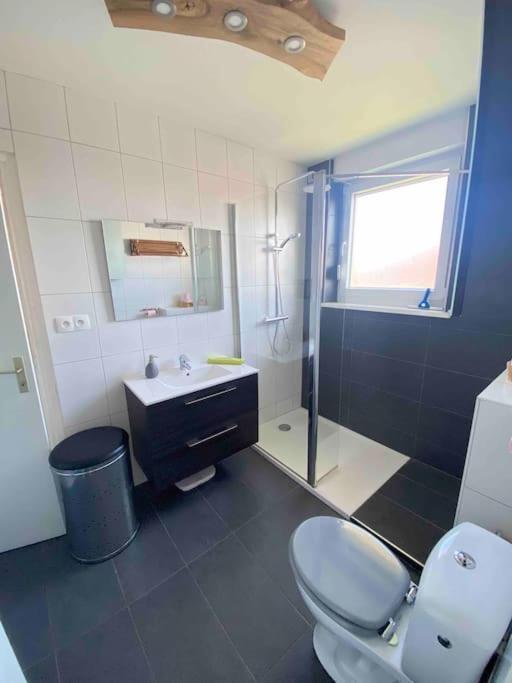 Logement Ideal Pour Un Sejour Alsacien En Amoureux Кольмар Экстерьер фото