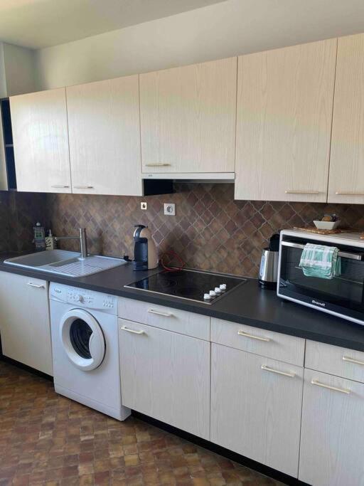 Logement Ideal Pour Un Sejour Alsacien En Amoureux Кольмар Экстерьер фото